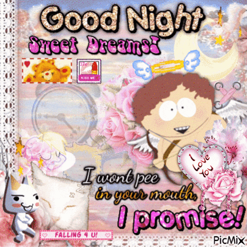 a greeting card that says good night sweet dreams i wont pee in your mouth i promise