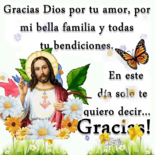 Accion De Gracias Senor Jesus GIF - Accion De Gracias Senor Jesus Amor GIFs