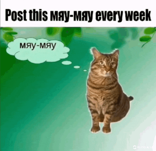 a cat with a thought bubble that says may-may