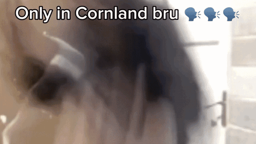 Cornland Bayanda GIF - Cornland Bayanda Slip GIFs