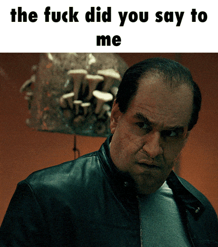 a picture of a man with the words the fuck did you say to me above him