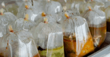 a bunch of plastic bags filled with different types of food .