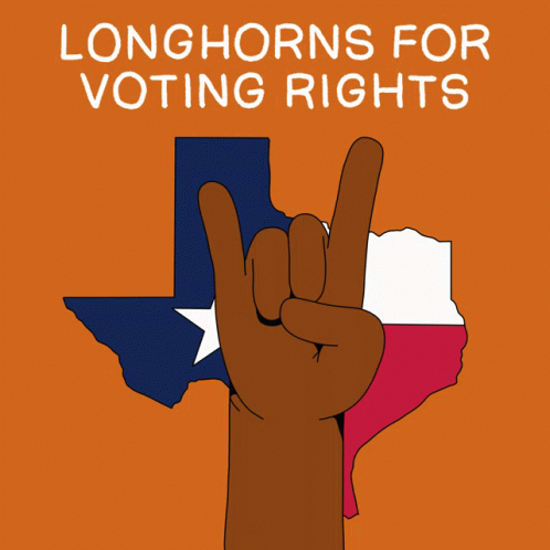 Texas Longhorns Longhorns GIF