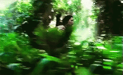 Katniss Katnisseverdeen GIF - Katniss Katnisseverdeen Running GIFs
