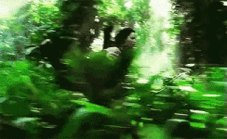 a blurry picture of a person running through a forest