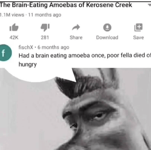 a black and white photo of a man with a speech bubble that says had a brain eating amoeba