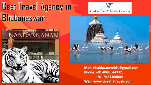 an advertisement for visakha tour & travels company shows a white tiger