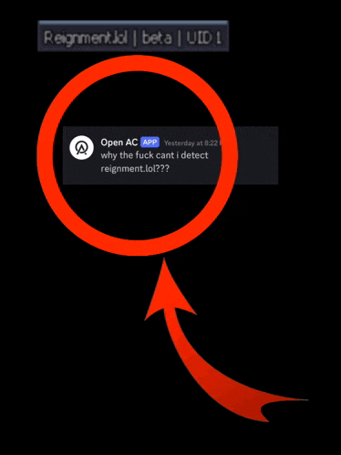 a screenshot of an open ac app that says " why the fuck cant i detect reignment.lol?? "