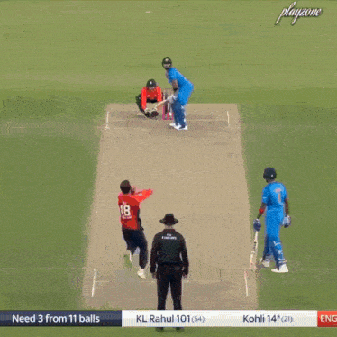 a cricket game is being played on a playzone screen