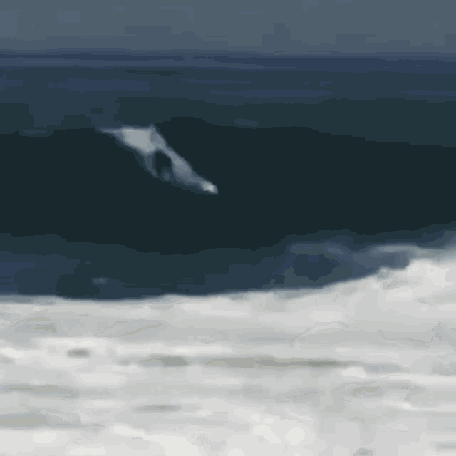 Surf Wipeout GIF - Surf Wipeout Bail GIFs