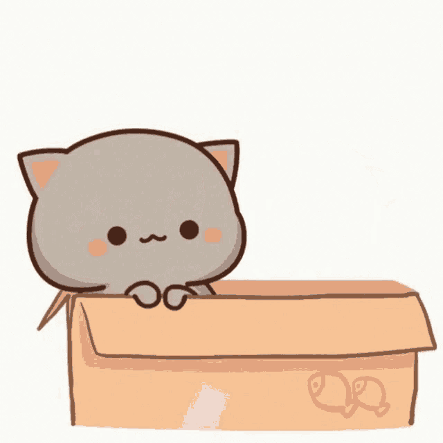two cats are sitting in a cardboard box with a heart .