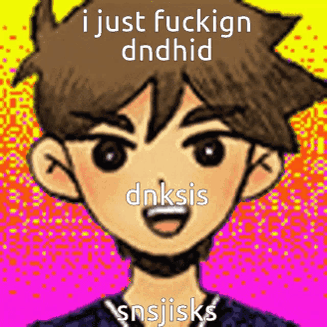 a pixelated image of a boy with the words i just fuckign dndhid written on it