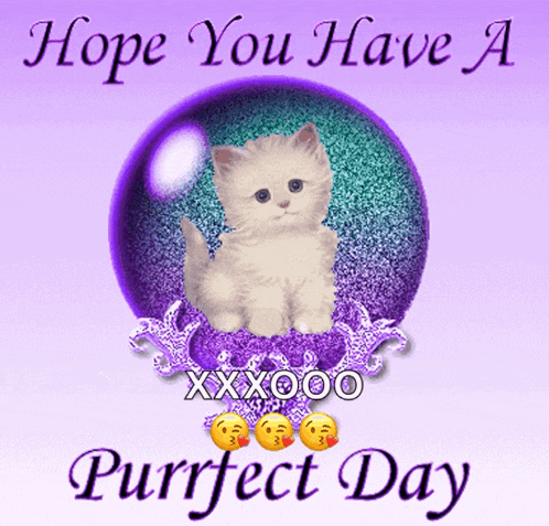 hope you have a purrfect day card with a kitten