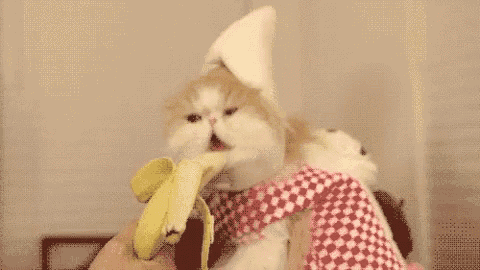 a cat is eating a banana while wearing a hat .