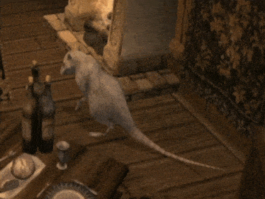 a computer generated image of a rat walking in a room