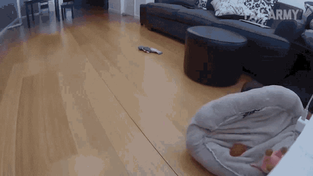 a living room with a couch and ottoman and the word army on the bottom