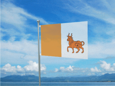a flag with a lion on it is flying in the wind
