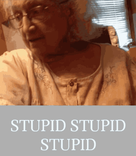 Stupid Granny Stupid GIF