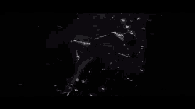a silhouette of a woman floating in the dark with feathers around her