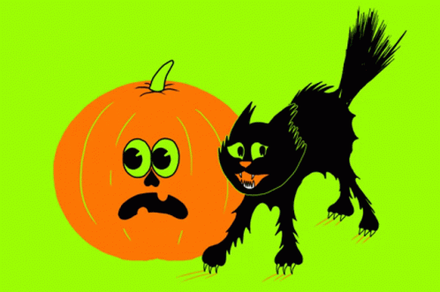 Scared Cat GIF - Scared Cat Pumpkin GIFs