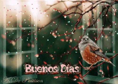 a picture of a bird on a branch with the words buenos dias written below it