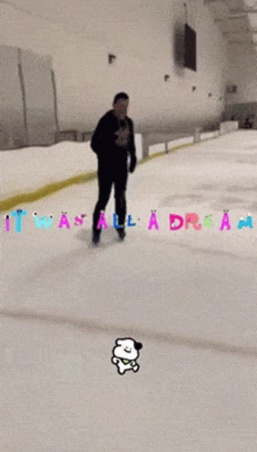 Hockey Stop Dream Skate GIF - Hockey Stop Dream Skate It Was All A Dream GIFs