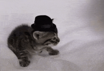 a small kitten wearing a black top hat is walking on a white blanket .