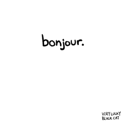 a black cat with yellow eyes and the word bonjour on its head
