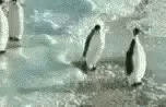 Penguin Slap GIF - Penguin Slap Funny Animals GIFs