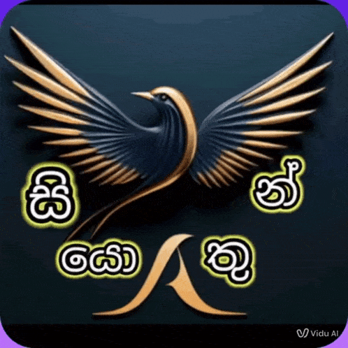a black bird with gold wings is surrounded by chinese characters