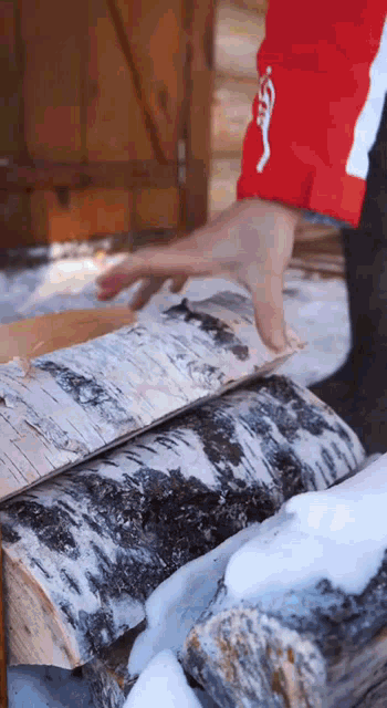 a person wearing a red and white coca cola jacket holds a log