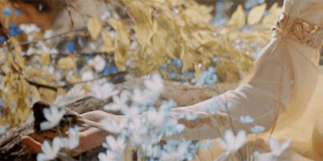 a woman is standing in a field of flowers .