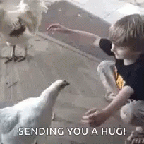 Chicken Kid GIF - Chicken Kid Hug GIFs