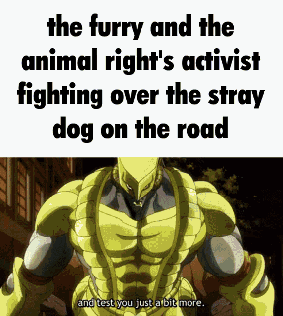 the furry and the animal right 's activist fighting over the stray dog on the road and test you just a bitmore