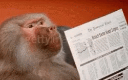 Baboon Reading Newspaper GIF - Baboon Reading Newspaper GIFs