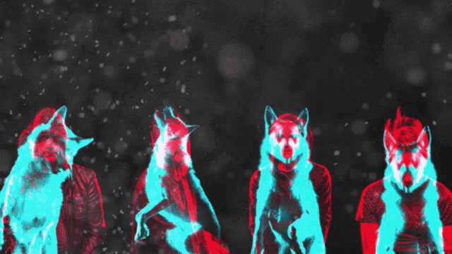 Weird Animal GIF - Weird Animal Wolf GIFs