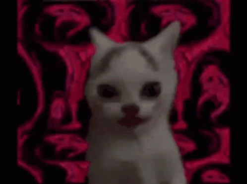 Gyigas Cat GIF - Gyigas Cat Insane GIFs