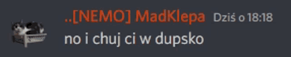 a blurred image of a cat with the words [ nemo ] madklepa on it