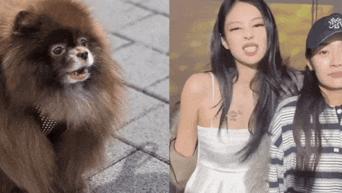 a woman in a white dress stands next to a dog