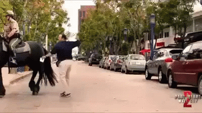Horse Punch GIF - Horse Punch Pissed GIFs