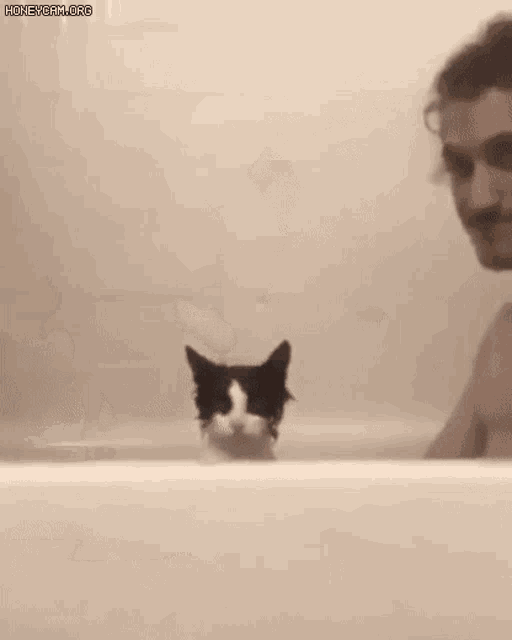 a black and white cat is taking a bath in a tub .