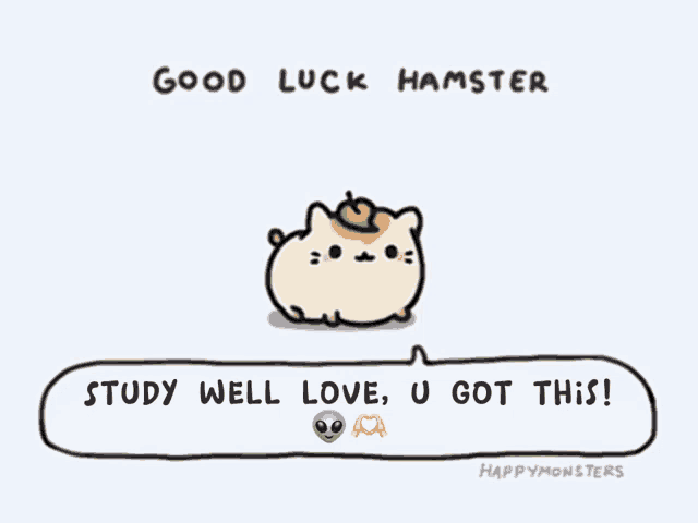 Good Luck Hamsters GIF - Good Luck Hamsters Stephanie GIFs