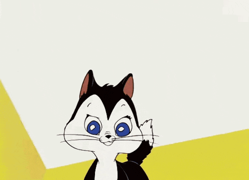 a black and white cat with blue eyes is being petted by a brown hand