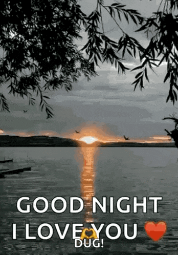 a picture of a sunset over a body of water with the words `` good night i love you dug '' .