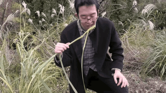 a man in a suit and glasses is eating a plant