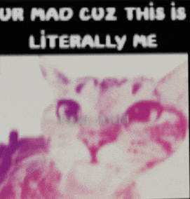 a blurred image of a cat with the words ur mad cuz this is literally me