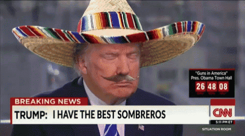 Donald Trump Sombrero GIF - Donald Trump Sombrero Best GIFs