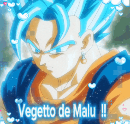 a picture of a cartoon character with the name vegetto de malu