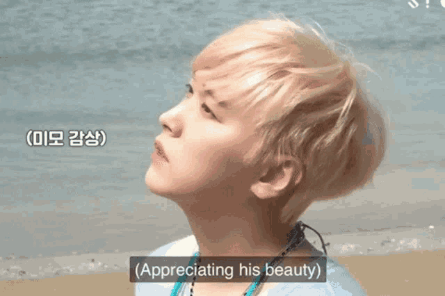 a man with short blonde hair is standing on a beach with the words " appreciating his beauty " above him