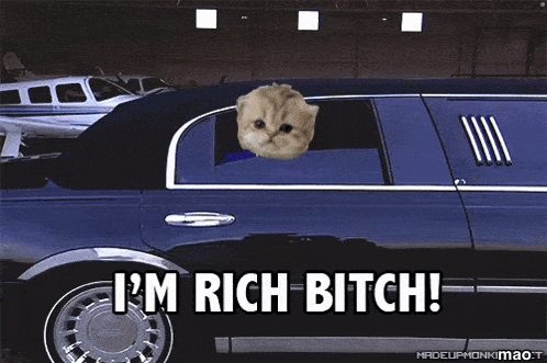 a cat is sitting in a limousine with the words i 'm rich bitch